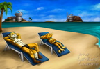 Commission - At the beach