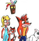 Crash gang