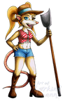 Pasadena Opossum