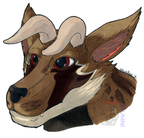 Leera Lashclaw by Huskibunni
