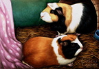 Commission - Pancake and Pepper