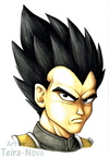 DBS - Vegeta