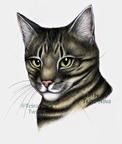 Commission - Iris (pet potrait)