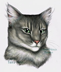 Commission - Cloud (pet potrait)