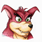 Crunch headshot