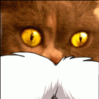 Toppo sees tiddie