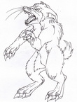 Quad Burgundy Bandicoot