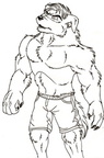 Lineart - Mountain Bandicoot