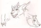 Sketch - Lex practice