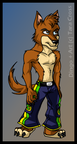 Dingo