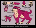 Reference - Tornson (half evolved)