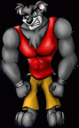 Koala Kong