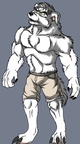 Mountain Bandicoot