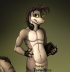 Commission - Ferroth