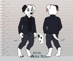 Commission - Shawn ref sheet
