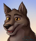 Commission - Balto headshot