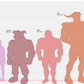 Height Comparison lol