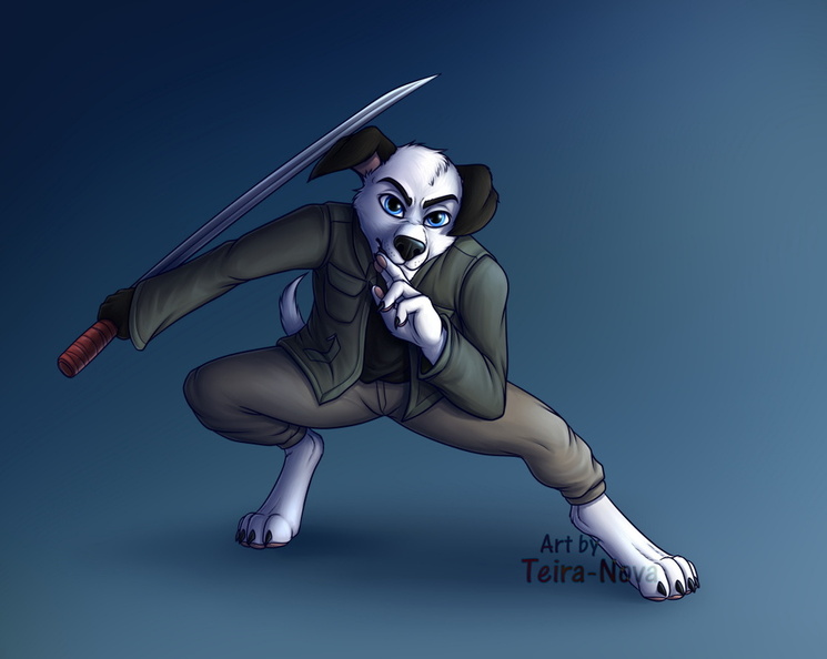 Commission - Blake battle pose.jpg