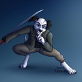 Commission - Blake battle pose