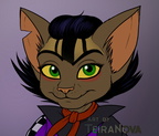 Commission - NTire headshot