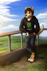 Commission - Andrew Dingo