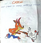 Crash and chickern