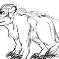 Arctic Bandicoot