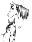 Lines Horses