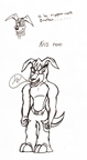 Lines Kris roo