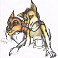 Apollo and Ayeladee