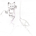 Sketch Fox forest