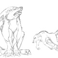 Sketch half evolved bandicoot