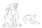 Sketch half evolved bandicoot