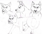 Sketches random dogs