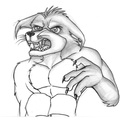 2006 Feitorn sketch