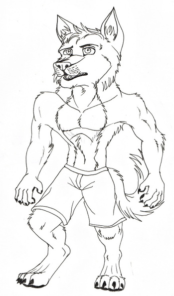 Lines Anthro Dingo.jpg