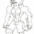 Lines Anthro Dingo