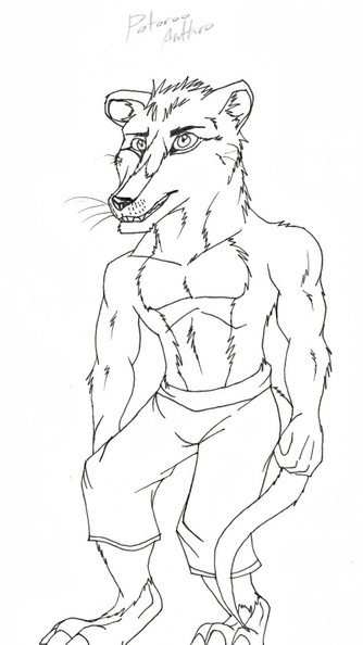 Lines Anthro Potoroo.jpg