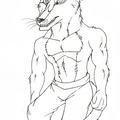 Lines Anthro Potoroo