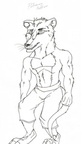 Lines Anthro Potoroo