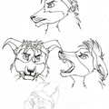 Lines Feitorn headshots