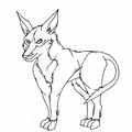 Lines Half evolved pig footed bandicoot