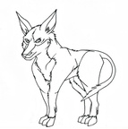 Lines Half evolved pig footed bandicoot