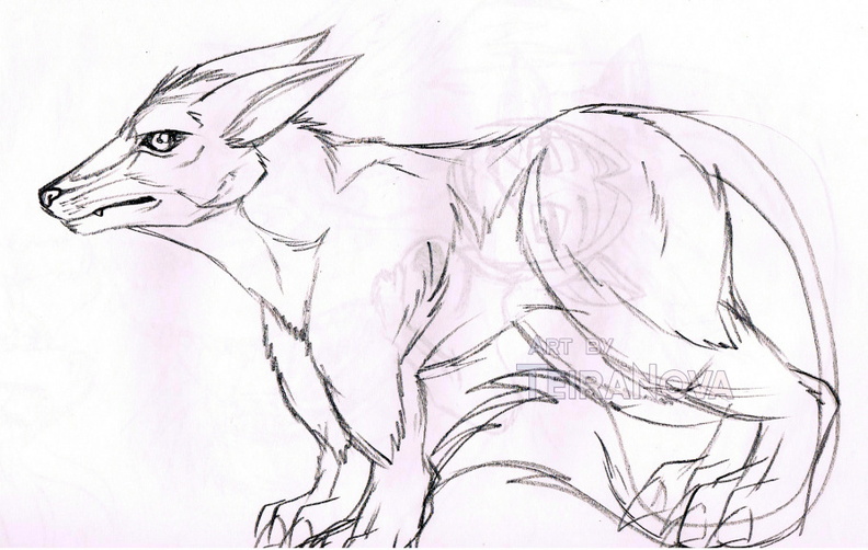 2007 Half evolved Lesser Bilby sketch.jpg