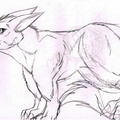 2007 Half evolved Lesser Bilby sketch