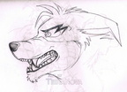 2007 Sketch Crunch angry
