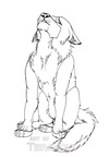 2007 Wolf howling