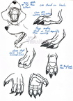 Lines Bandicoot parts