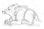 Sketch Half evolved burgundy