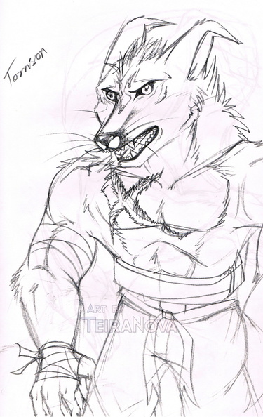 Sketch Tornson.jpg